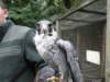 dsc00409_small.jpg