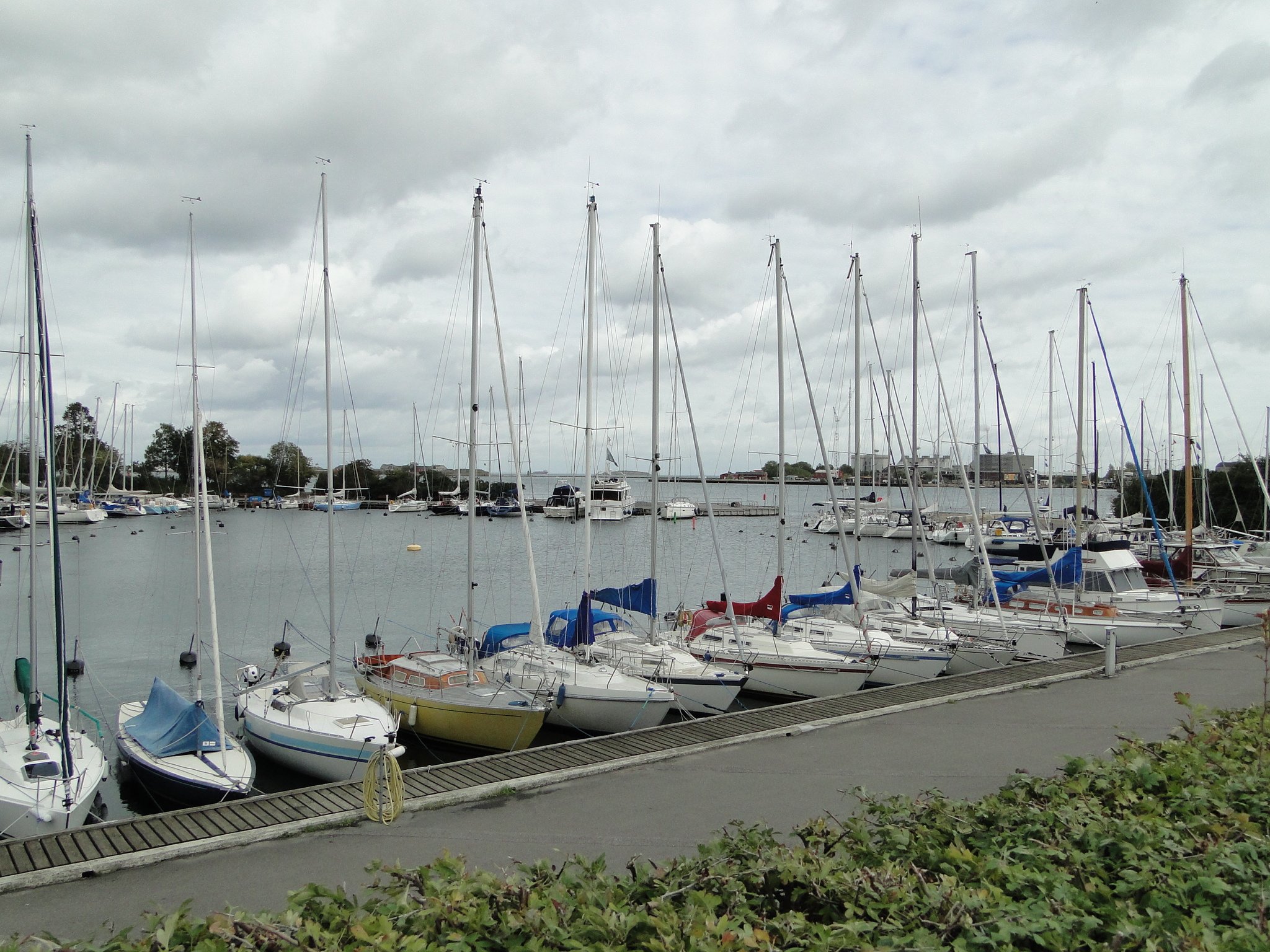 dsc07830.jpg