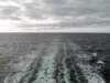 dsc00803_small.jpg