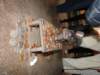 dsc00965_small.jpg